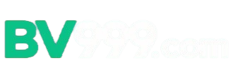 Logo bv999